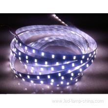 SMD5630 LED Strip Light DC12V White Warm White Color